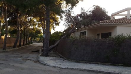 terramar-sitges-gloria-2
