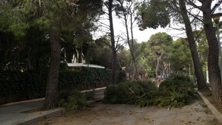 terramar-sitges-gloria-3
