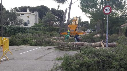 terramar-sitges-gloria-4