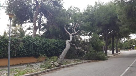 terramar-sitges-gloria-6