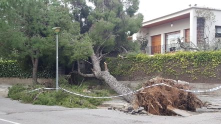 terramar-sitges-gloria-7